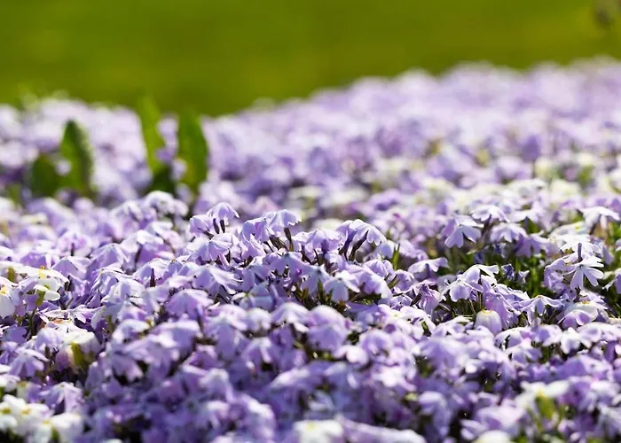 Coastal Village Hideaway Vakantiehuis